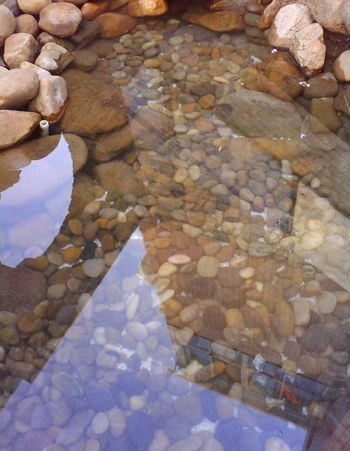 游泳池用圖片/游泳池用樣板圖 (1)