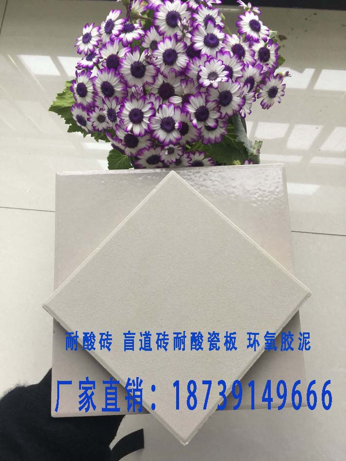 酸堿池* 全瓷耐酸磚 陜西朔州