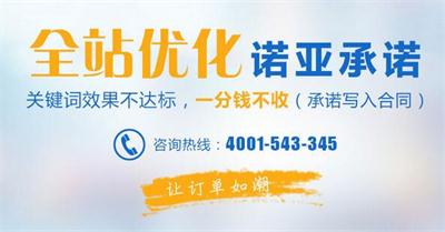天津seo優(yōu)化公司圖片