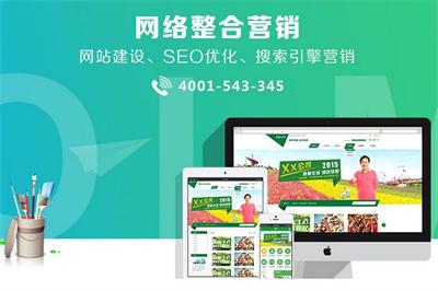 天津網(wǎng)站seo圖片/天津網(wǎng)站seo樣板圖 (3)