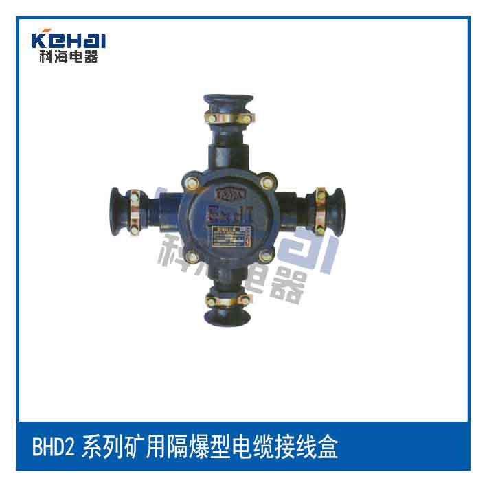 礦用本安接線盒圖片/礦用本安接線盒樣板圖 (3)