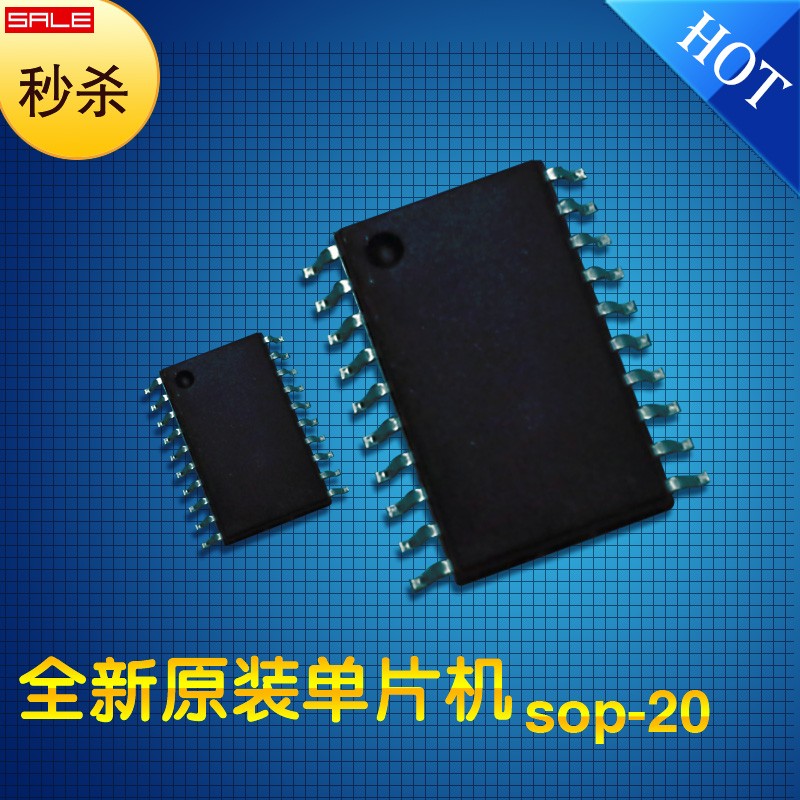 松翰SN8P2722單片機(jī)圖片