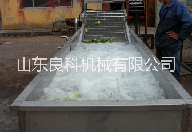 芹菜清洗機圖片/芹菜清洗機樣板圖 (1)