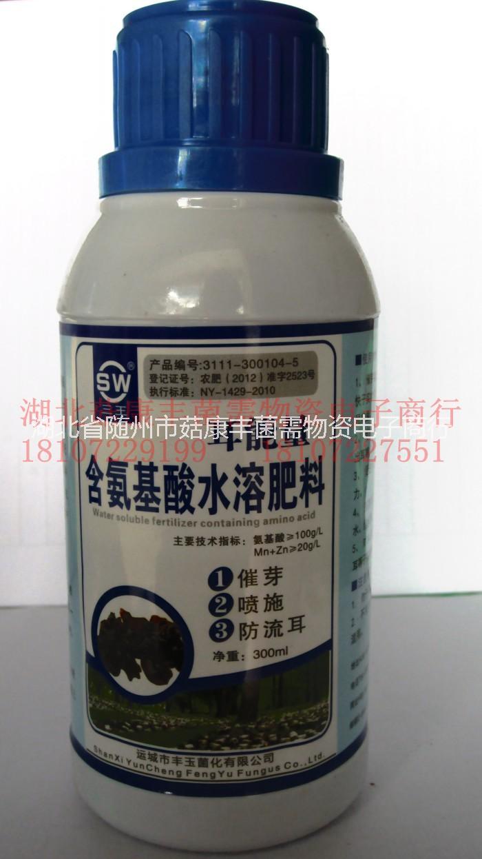 食用菌圖片/食用菌樣板圖 (3)