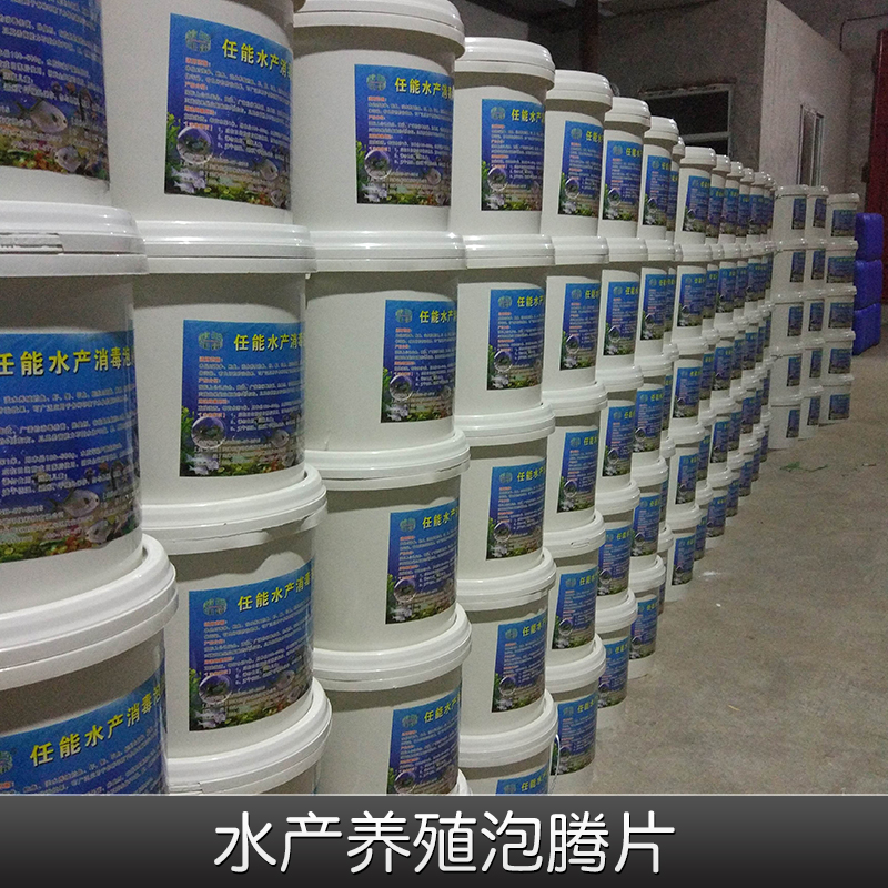任能二氧化氯水產(chǎn)養(yǎng)殖泡騰片圖片