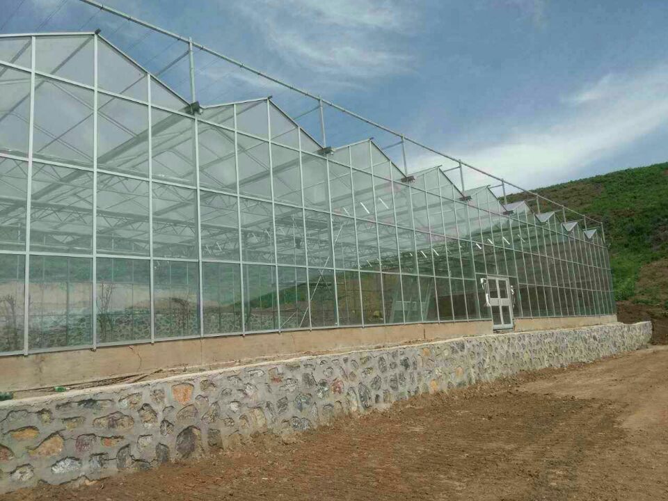 承接濮陽許昌漯河三門峽溫室大棚圖片