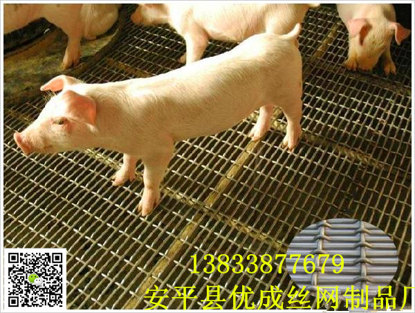 鋼絲網(wǎng)規(guī)格圖片/鋼絲網(wǎng)規(guī)格樣板圖 (4)