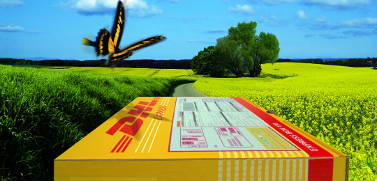 fedex快遞圖片/fedex快遞樣板圖 (4)