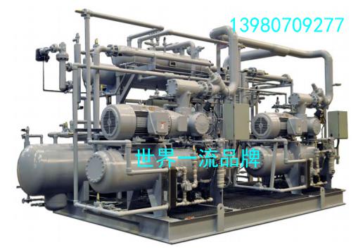 雙級(jí)低溫制冷機(jī)圖片/雙級(jí)低溫制冷機(jī)樣板圖 (2)