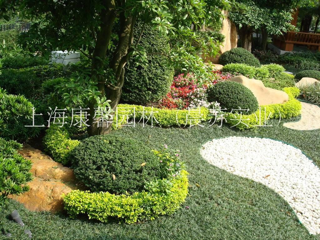 南岸區(qū)別墅綠化養(yǎng)護(hù)工程方案 南岸區(qū)哪里有別墅綠化養(yǎng)護(hù)工程公司