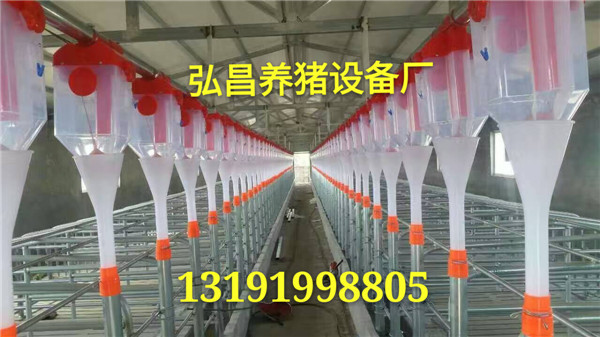 全自動(dòng)料線安裝豬場(chǎng)料線系統(tǒng)設(shè)計(jì)廠家電話13191998805