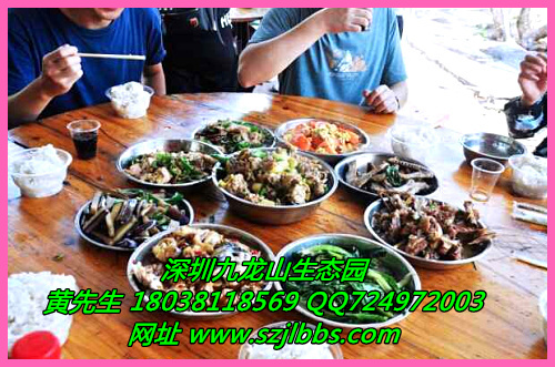 九龍山圖片/九龍山樣板圖 (2)