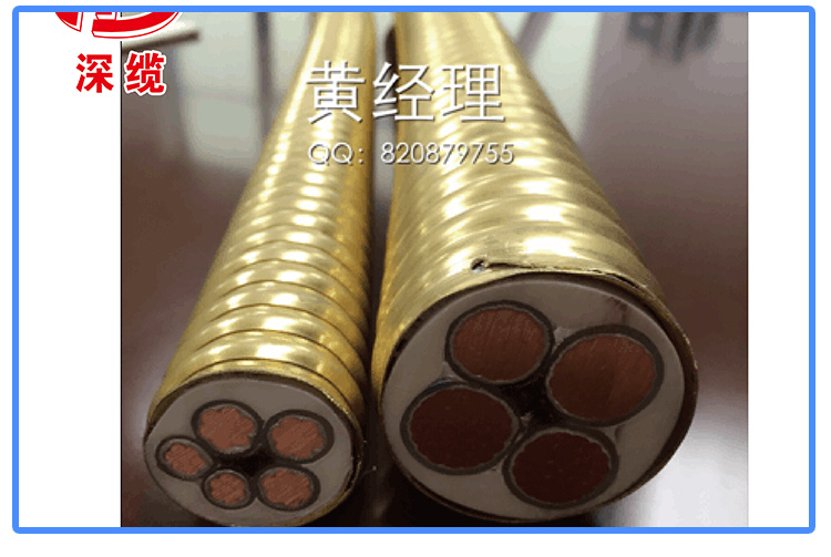 礦物電纜圖片/礦物電纜樣板圖 (2)