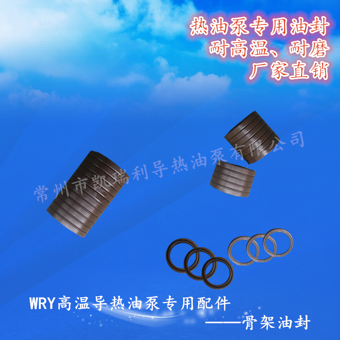廠家直銷O型氟膠油封 耐磨耐高溫圖片/廠家直銷O型氟膠油封 耐磨耐高溫樣板圖 (4)