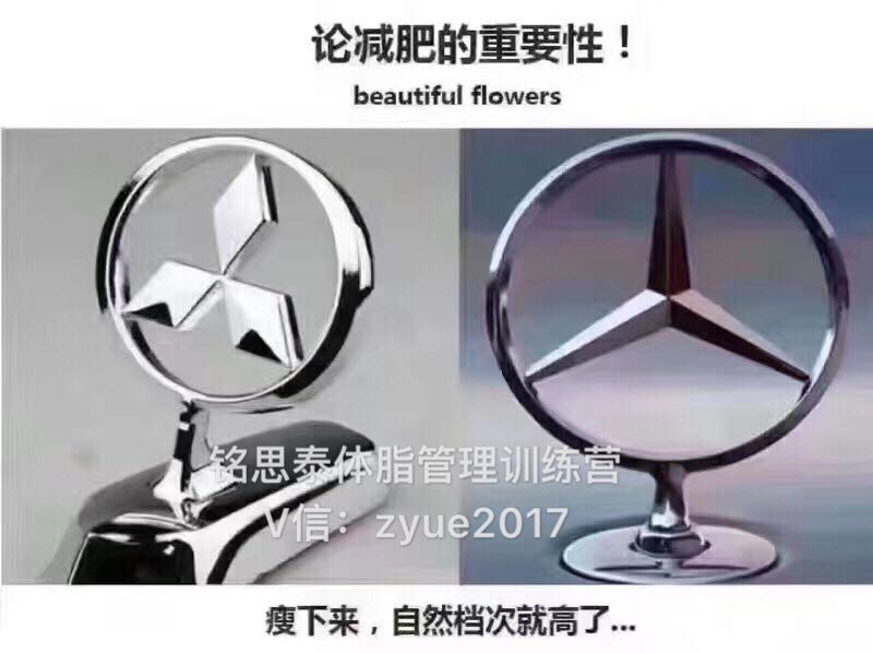 銘思泰體脂管理訓(xùn)練營(yíng)/體型圖片/銘思泰體脂管理訓(xùn)練營(yíng)/體型樣板圖 (4)