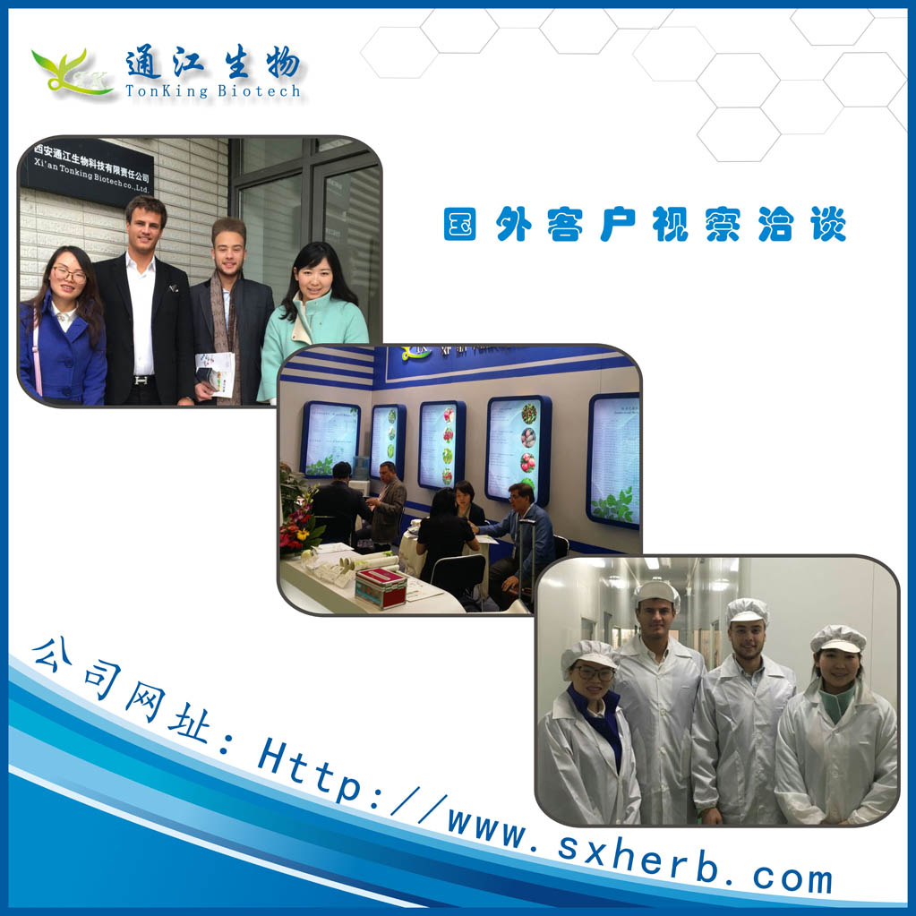 牡蠣粉圖片/牡蠣粉樣板圖 (2)