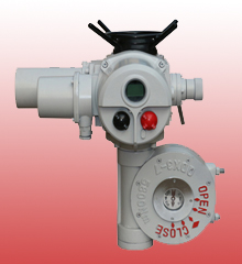 F-DJW200智能型電動執(zhí)行器圖片/F-DJW200智能型電動執(zhí)行器樣板圖 (4)