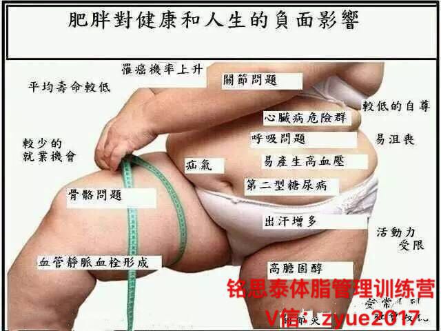 銘思泰體脂管理訓(xùn)練營/為什要*