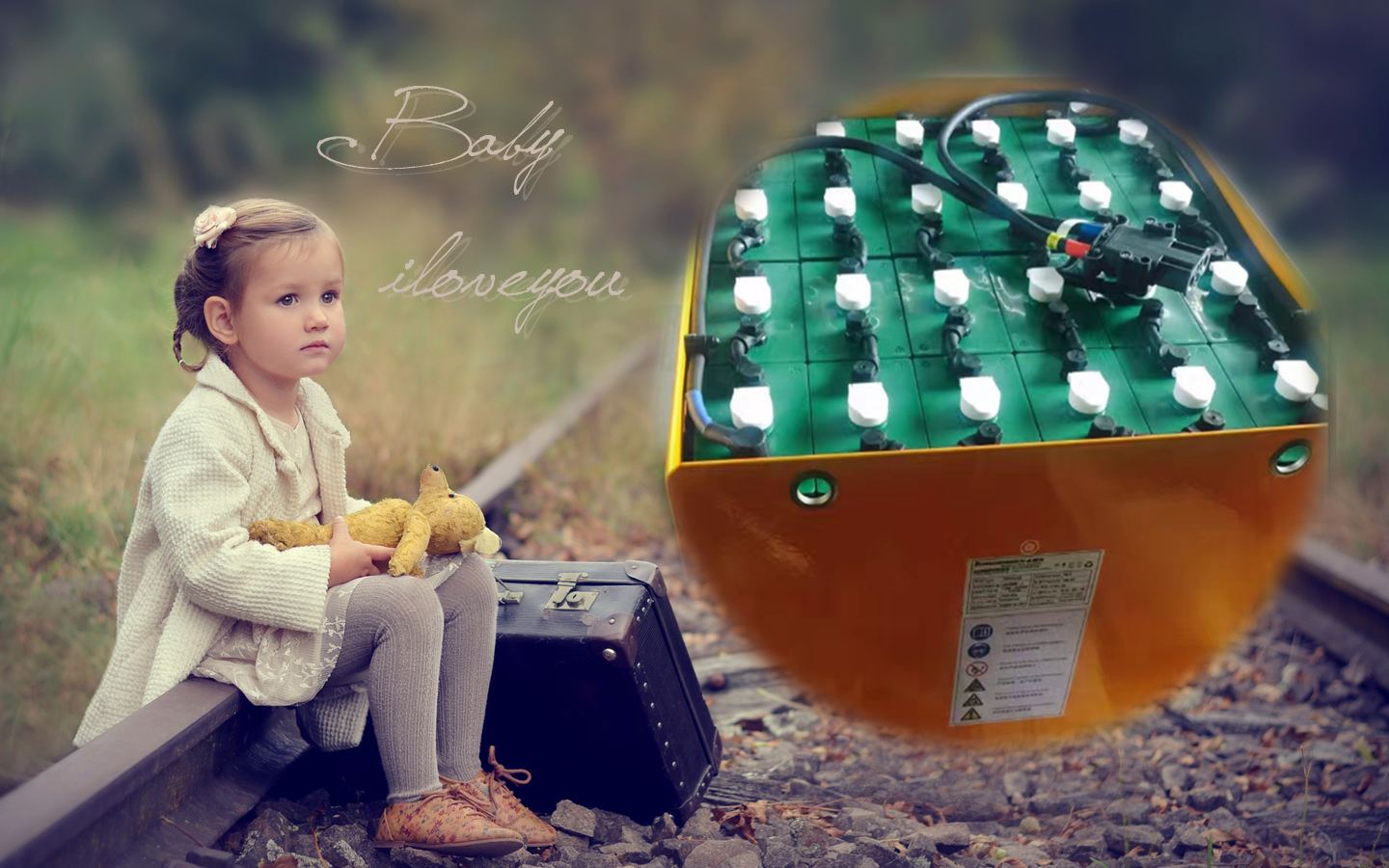 上海洛貝柯電動(dòng)叉車蓄電池圖片