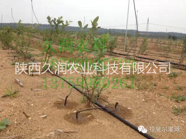 貼片式圖片/貼片式樣板圖 (1)