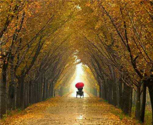 怎么樣圖片/怎么樣樣板圖 (4)