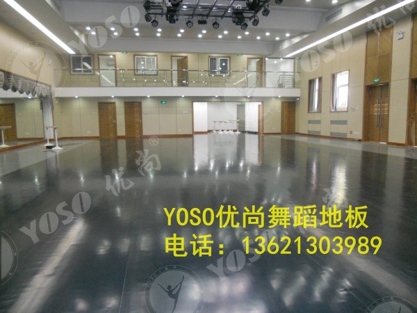 大劇院圖片/大劇院樣板圖 (4)