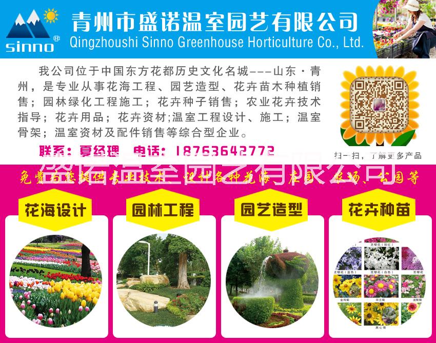 山東專業(yè)常年提供花海設(shè)計(jì)  園藝造型 園林綠化工程施工 花卉種子銷售 花海設(shè)計(jì)  園藝造型 園林工程