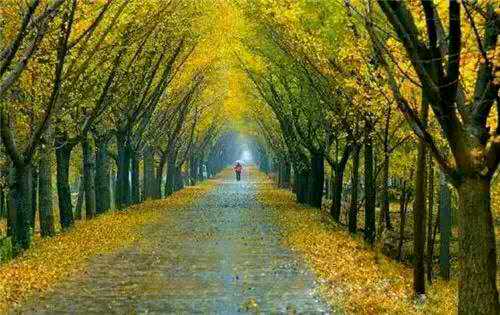 怎么樣圖片/怎么樣樣板圖 (1)