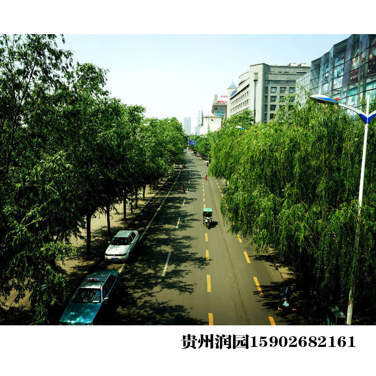 智能生態(tài)墻立體綠化圖片/智能生態(tài)墻立體綠化樣板圖 (2)