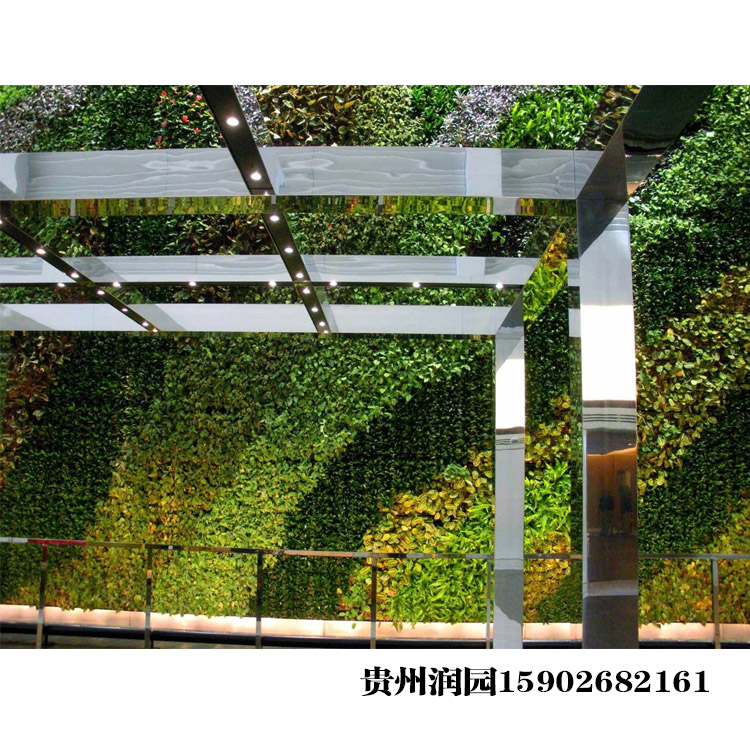 智能生態(tài)墻立體綠化圖片