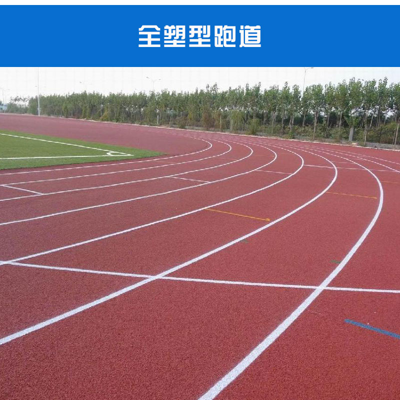 塑型圖片/塑型樣板圖 (3)