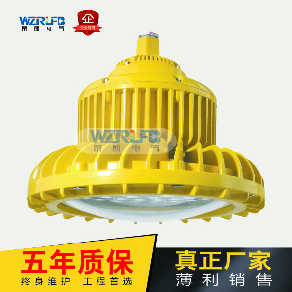 RLB155LED防爆泛光燈圖片