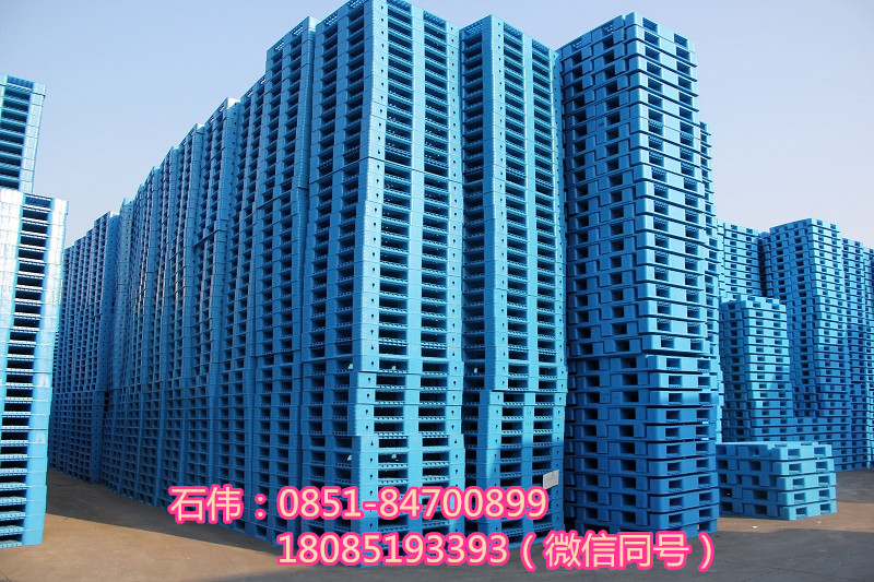 塑料托盤圖片/塑料托盤樣板圖 (4)