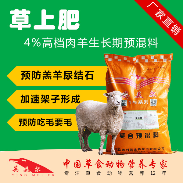 養(yǎng)羊吃什么飼料 肉羊育肥 全家料