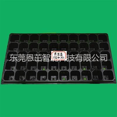 平底50孔加厚芽苗營養(yǎng)缽花卉育苗圖片/平底50孔加厚芽苗營養(yǎng)缽花卉育苗樣板圖 (1)