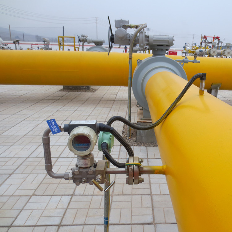 多參量阿牛巴流量計(jì) 多參量德爾塔巴流量計(jì) 插入式流量計(jì) 外接24V或內(nèi)置電池供電