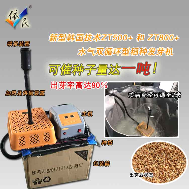 水稻種子圖片/水稻種子樣板圖 (2)