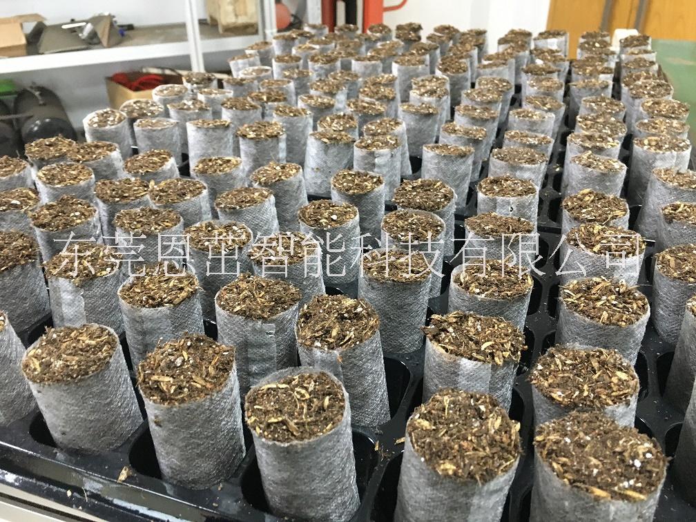 72孔加厚芽苗蔬菜營(yíng)養(yǎng)缽花卉育苗圖片/72孔加厚芽苗蔬菜營(yíng)養(yǎng)缽花卉育苗樣板圖 (3)