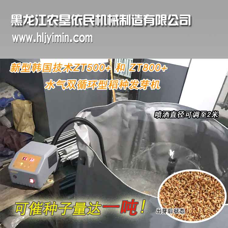 水稻種子圖片/水稻種子樣板圖 (4)