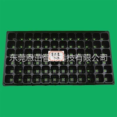 72孔加厚芽苗蔬菜營(yíng)養(yǎng)缽花卉育苗