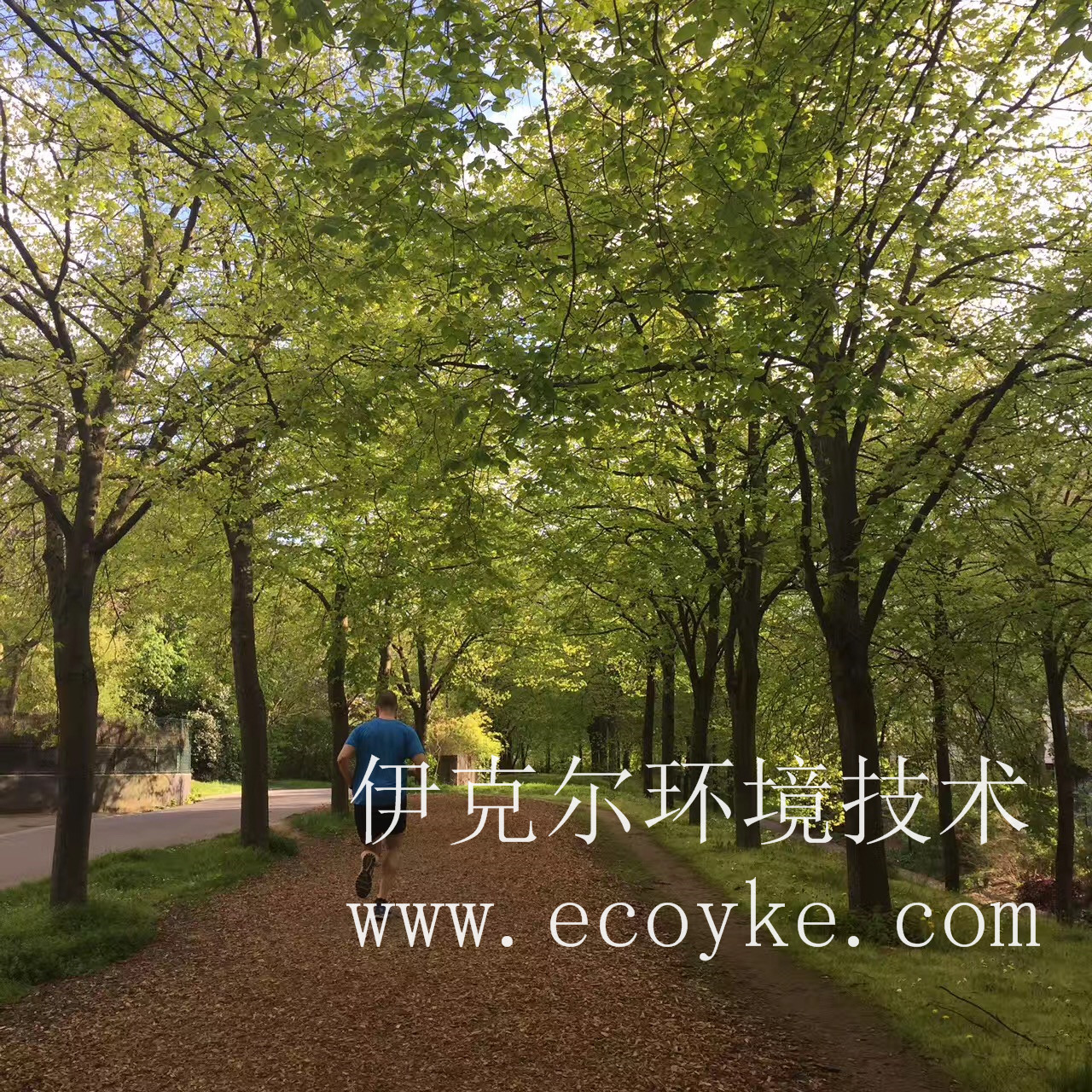 固化劑圖片/固化劑樣板圖 (4)