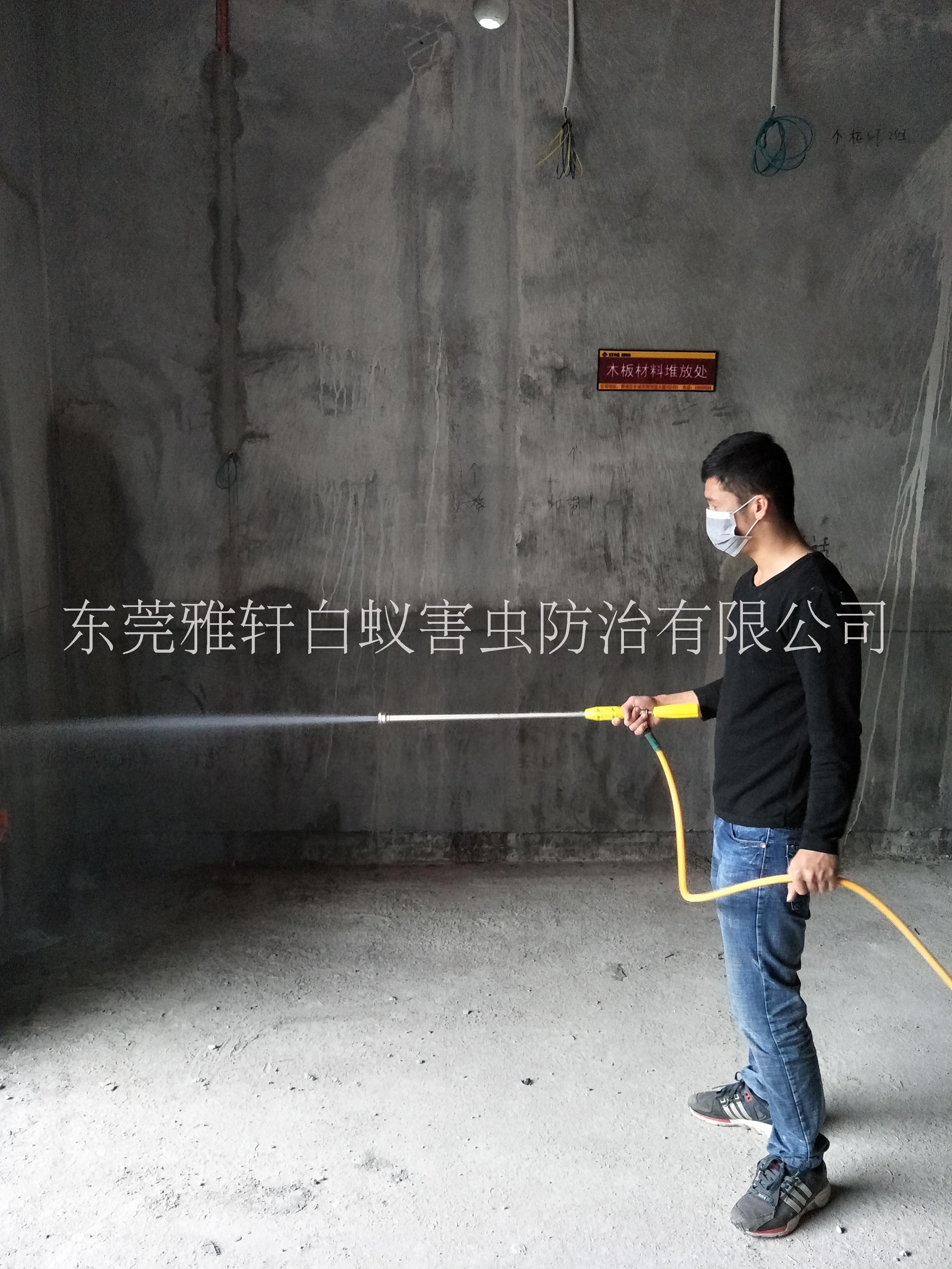 滅鼠滅蟲圖片/滅鼠滅蟲樣板圖 (4)