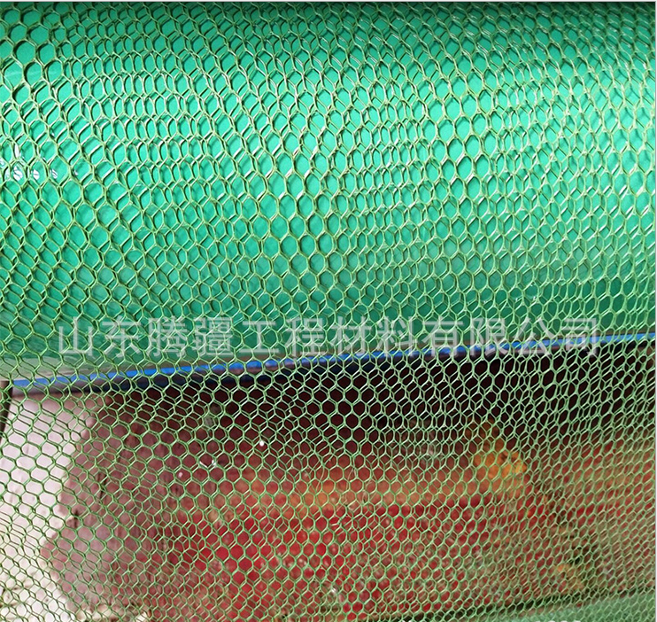 環(huán)保HDPE土工網(wǎng)圖片