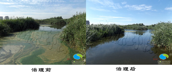 邦源環(huán)保特有的水環(huán)境治理技術(shù) 治理水環(huán)境產(chǎn)品