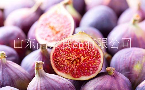 無花果圖片/無花果樣板圖 (3)