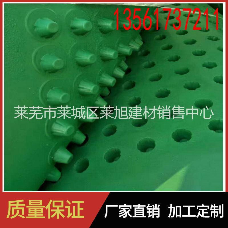 車庫(kù)頂板排水板 河南車庫(kù)頂板排水板 復(fù)合排水板