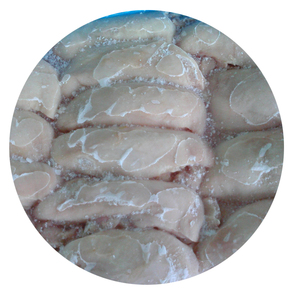 種雞大胸圖片/種雞大胸樣板圖 (1)