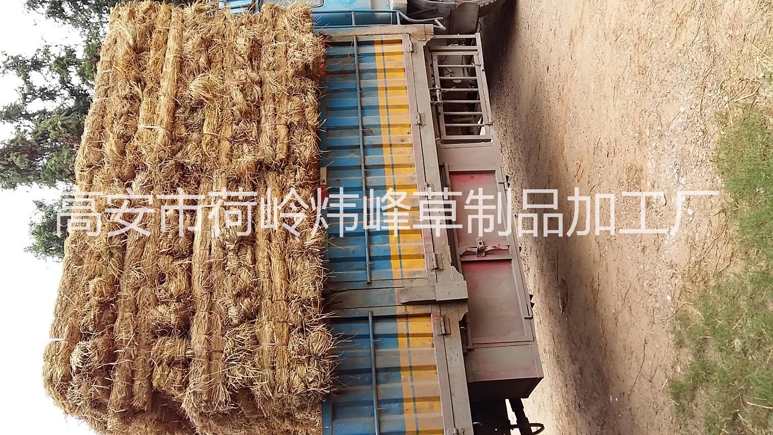 草支墊圖片/草支墊樣板圖 (4)