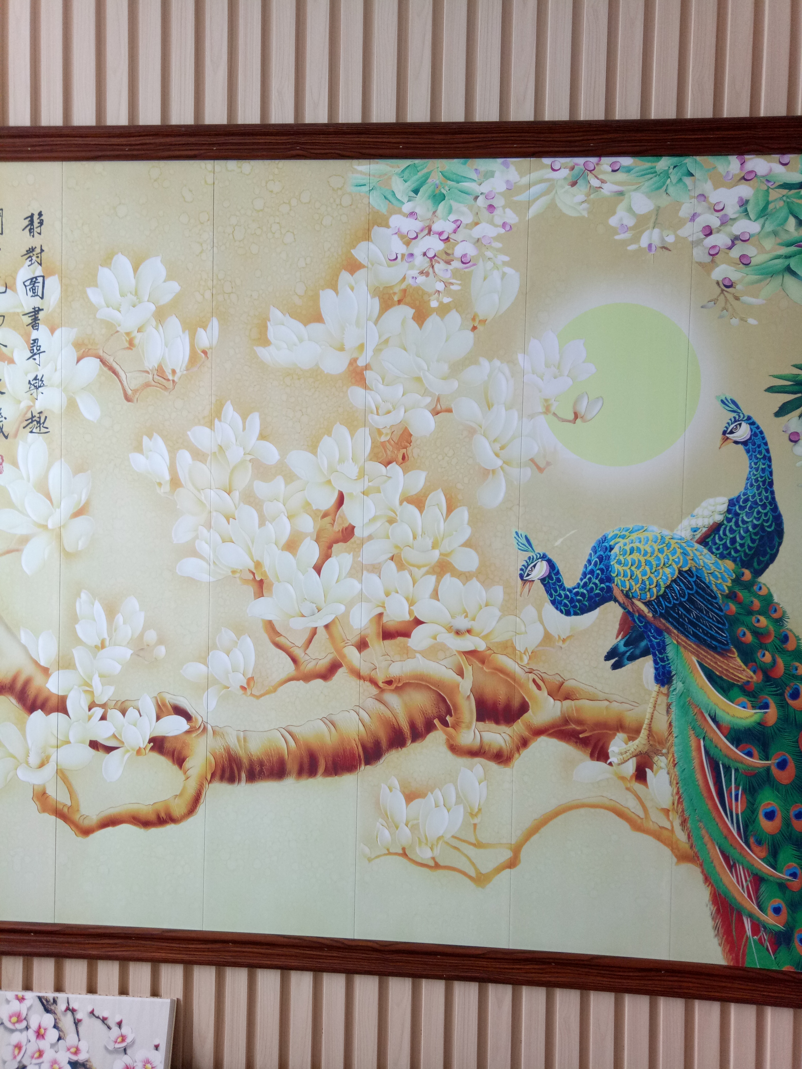 竹木纖維圖片/竹木纖維樣板圖 (1)