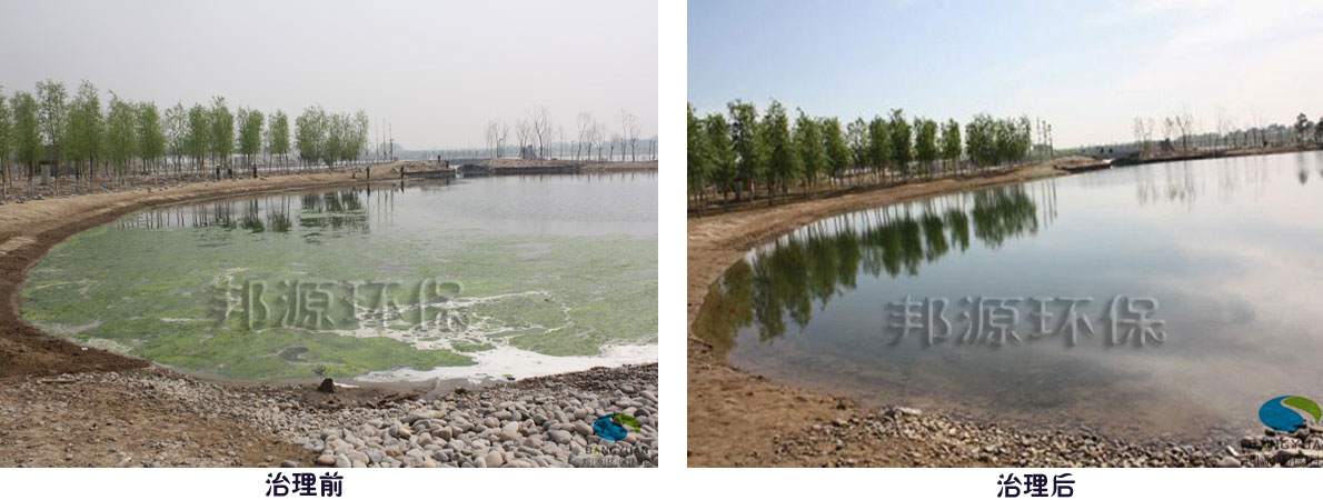 生物治理圖片/生物治理樣板圖 (3)